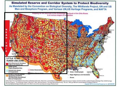 889e7c4896c956f95f1b586f32af7d32 - Copy