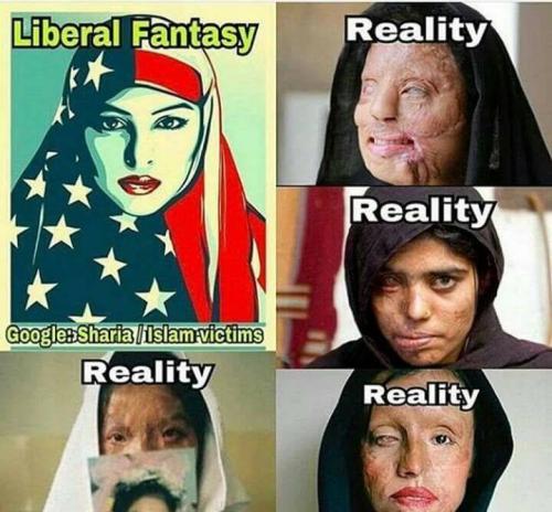 liberal fantasy