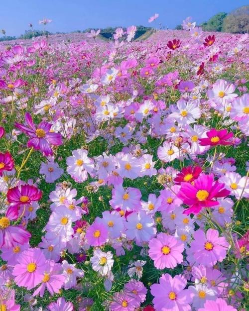 05:50:40 GMT-0400 (EDT)