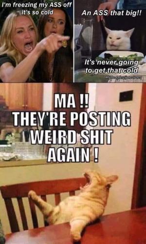 16:51:58 GMT-0800 (PST)