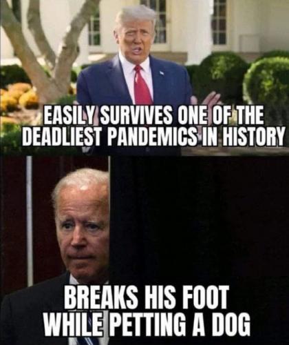 biden451