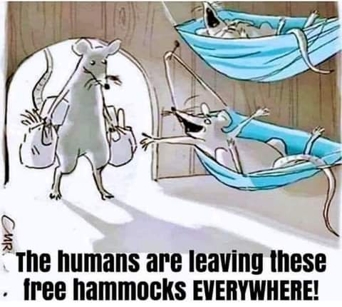 20:20:27 GMT-0700 (PDT)