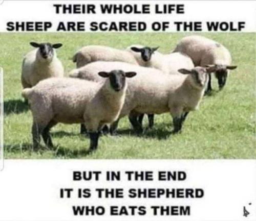 D203B07B-23E3-47D0-B93F-8EEE378578FC