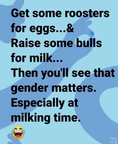 CD107434-1E6F-47EA-8127-F5CFB0A695F7