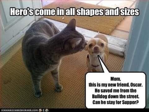 20:43:39 GMT-0700 (PDT)