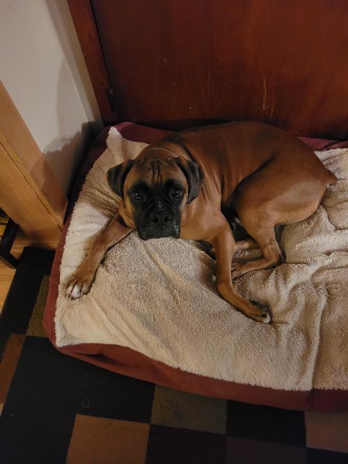 23:17:55 GMT-0400 (EDT)