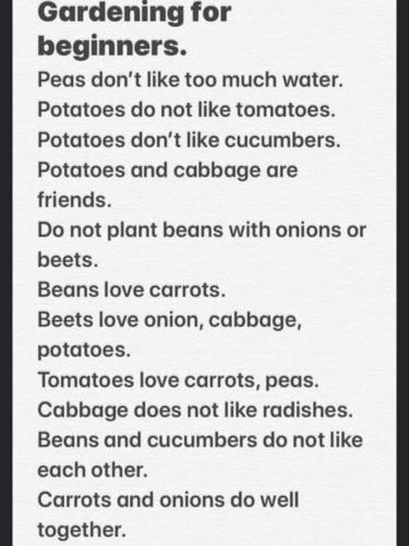 05:13:11 GMT-0500 (CDT)