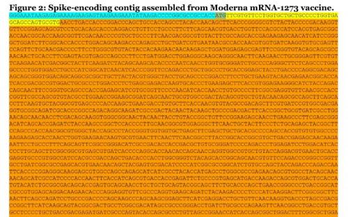 9B8AF0CA-826D-4901-B89D-6C15C3595EA6