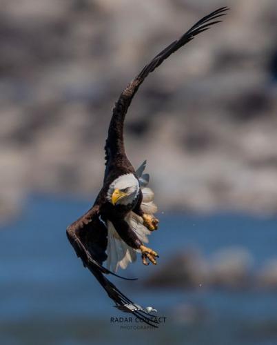 167274292_1370224833333149_461658739139540161_n