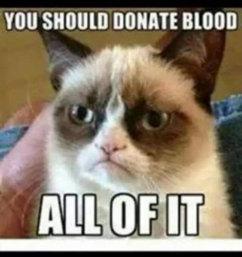 11:26:22 GMT-0800 (PST)