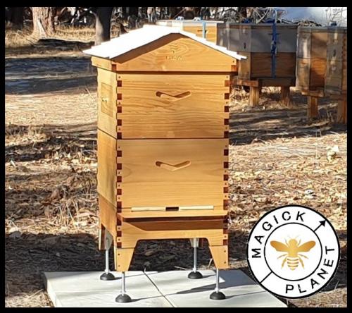 Magick Planet - Video 1 - We look at some of the popular Langstroth-style hives in Western Australia and Flow Hive Lucky Draw Entry