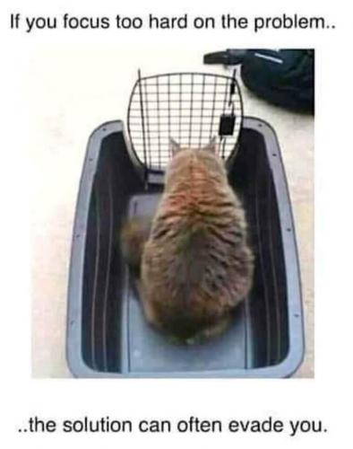 15:33:39 GMT-0600 (CST)