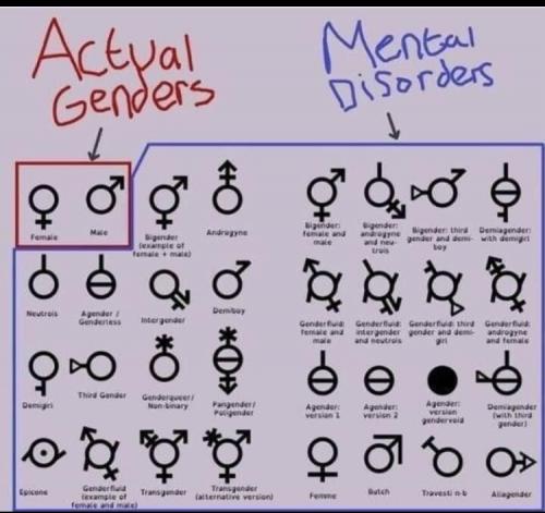 16:09:55 GMT-0600 (CST)