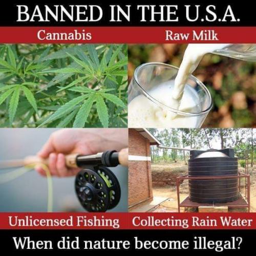 07:33:52 GMT-0500 (CDT)