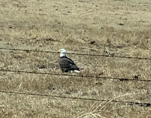 12:14:37 GMT-0800 (PST).image