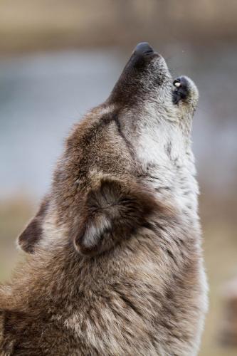 3859c5eba590fc43e739696f238c7fa7