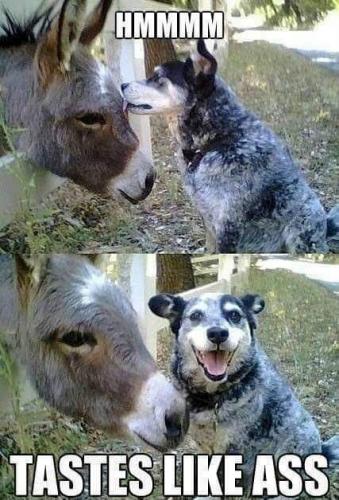 FB_IMG_1616547345490