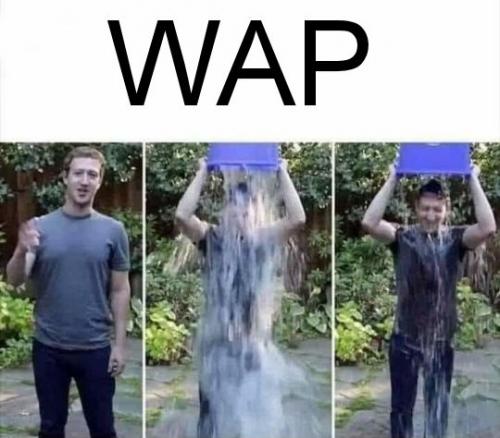zuck77