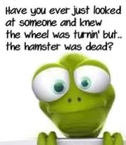 20:04:27 GMT-0500 (EST).image