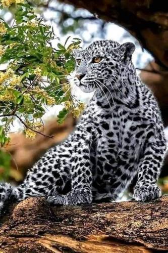 tumblr_b87c581a1d4527abee75f3309c365b20_4f9fdec7_540