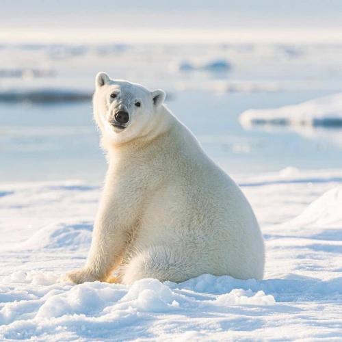 158648570_1816701658496038_1988267821472680453_o