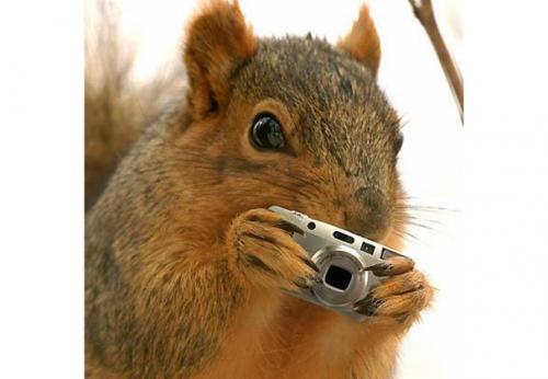 11:54:13 GMT-0400 (EDT)