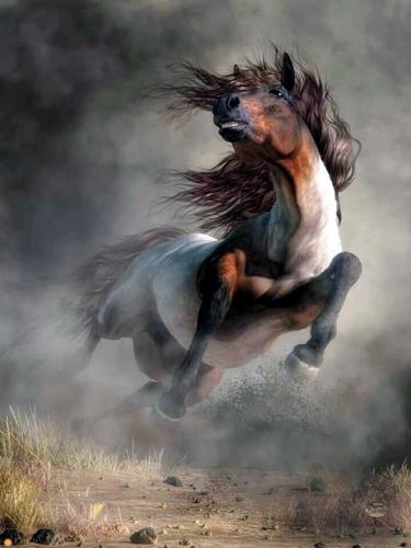 tumblr_1c7d9df9ef9cf970174d0f837bca04e6_6e31f8d2_540