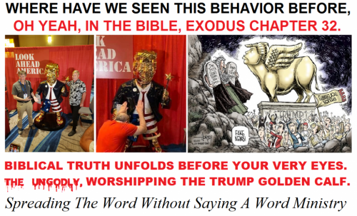 159209687_1044231469397440_8979759612685360523_n