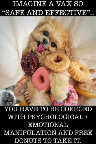 23:30:43 GMT-0700 (PDT).image