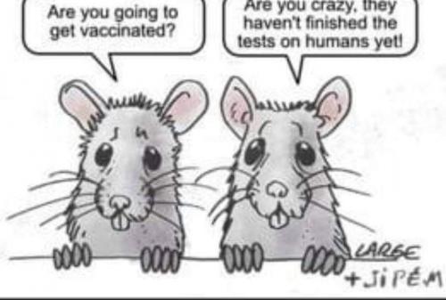 19:41:25 GMT-0500 (EST).image