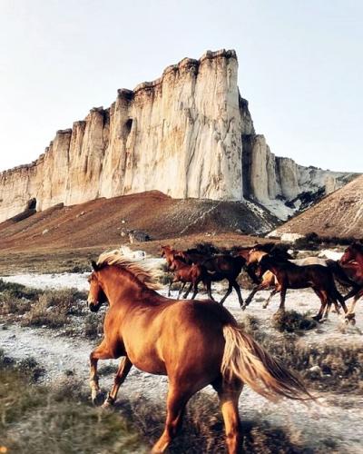 tumblr_bd02768c5ad8e770f76989215ae64613_b1a786f4_540