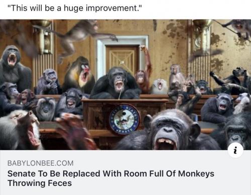 congress of apes monkey senate