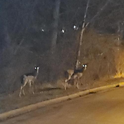 00:03:00 GMT-0600 (CST)