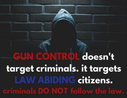 gun control179