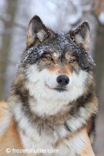 bfe64edc4c6b58104133ebca29bbbfe1