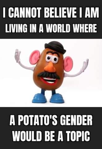 20:58:17 GMT-0800 (PST)