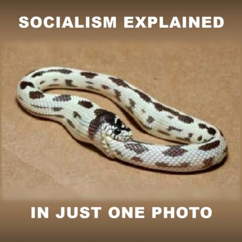 socialism_explained