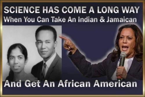 kamala harris111