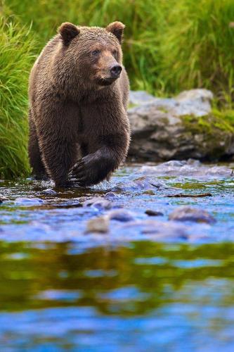 156242691_1525859027613442_1525458902312198932_o