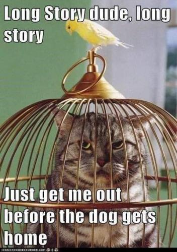 16:39:47 GMT-0700 (PDT)