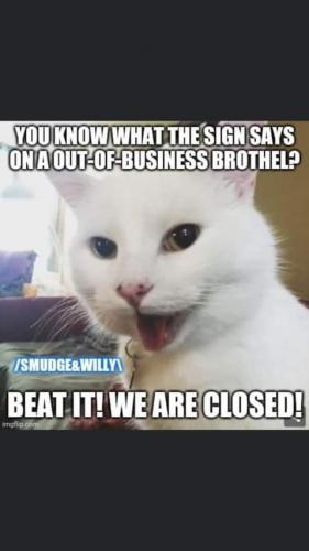 22:04:30 GMT-0700 (PDT)