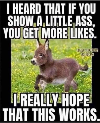 10:00:27 GMT-0600 (CST)