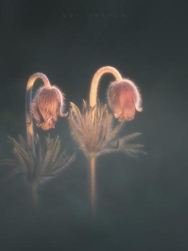 163287669_221127549437897_4606575810745376578_n