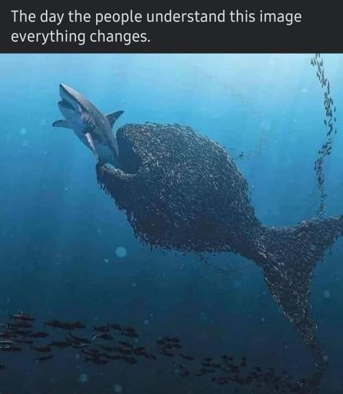 18:07:38 GMT-0600 (CST).image