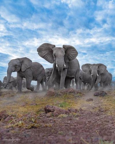 159152684_1816624691837068_6251871593540930361_o