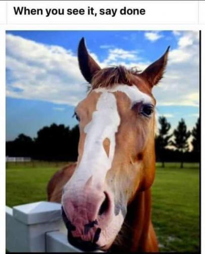 20:47:33 GMT-0800 (PST)