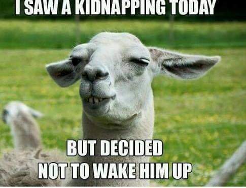 06:08:35 GMT-0500 (EST)