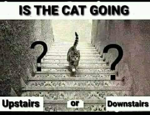 03:09:18 GMT-0400 (EDT)