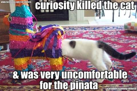 19:12:31 GMT-0700 (PDT)