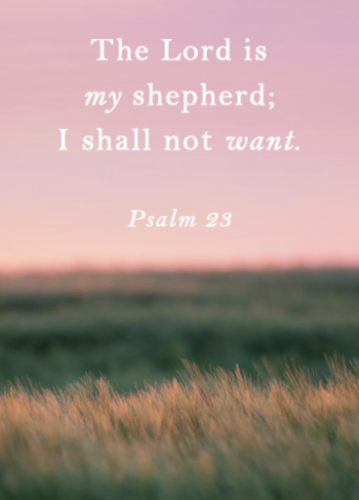 Screenshot 2021-03-07 at 7.44.06 AM